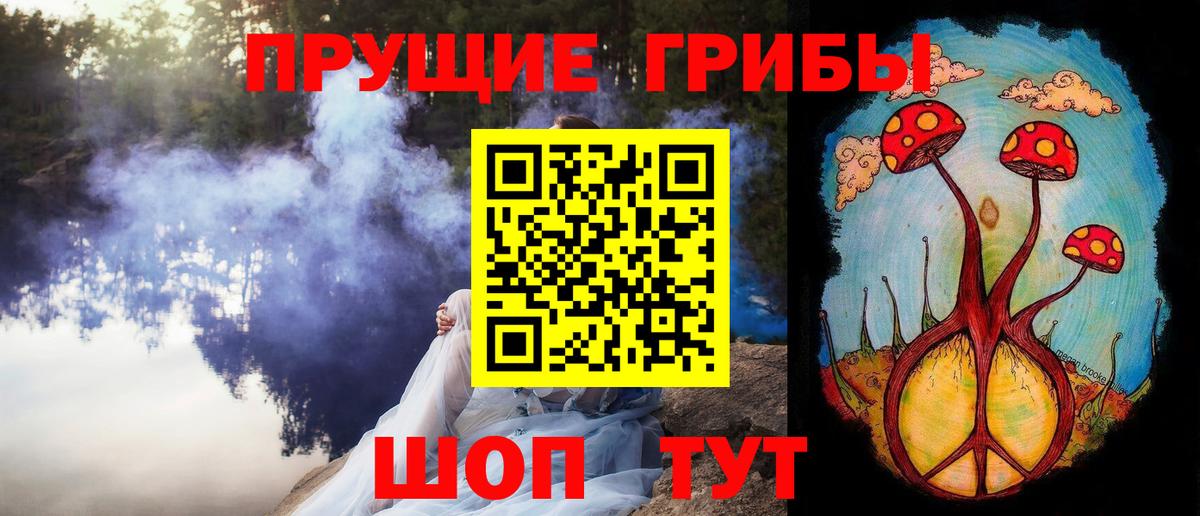 Осинники  Псилоцибиновые грибы GOLDEN TEACHER  купить  сайты  Вход с VPN 
