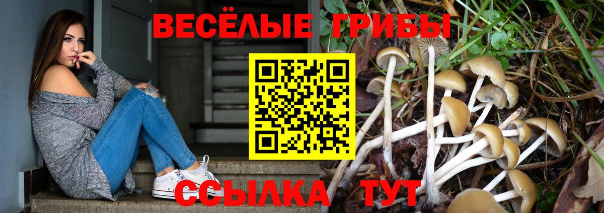 Псилоцибиновые грибы мицелий Осинники
